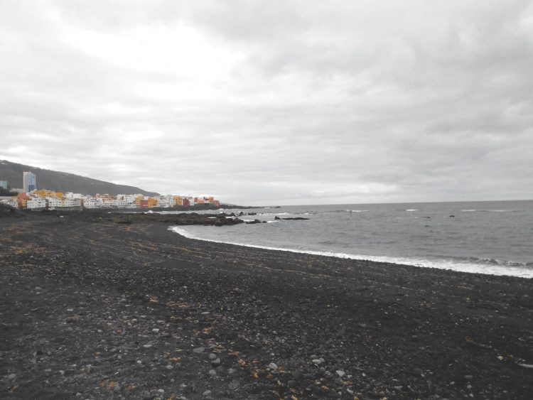 Review of Playa Jardin (black sand beach in Tenerife)